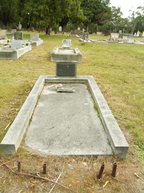 Full-size image