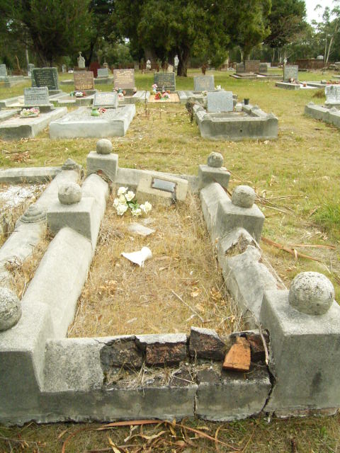 Full-size image