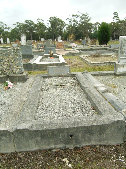 Full-size image