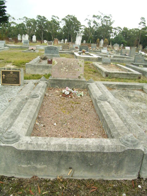 Full-size image