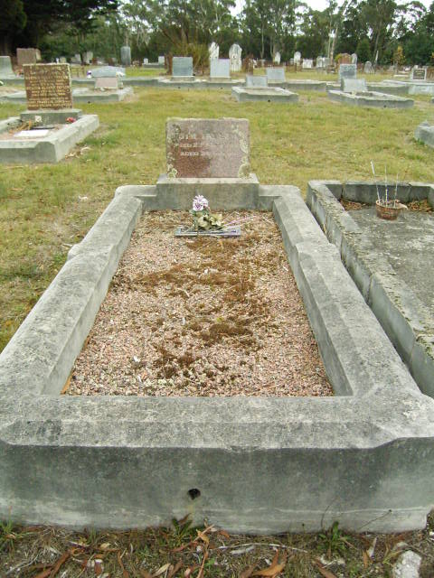 Full-size image