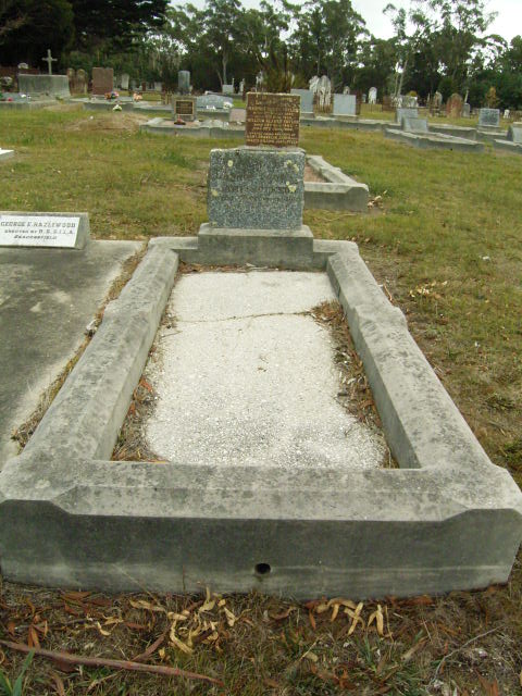 Full-size image