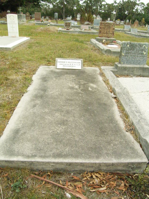 Full-size image