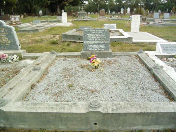 Full-size image