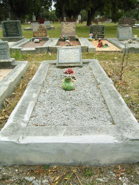 Full-size image