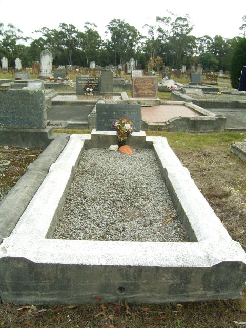 Full-size image