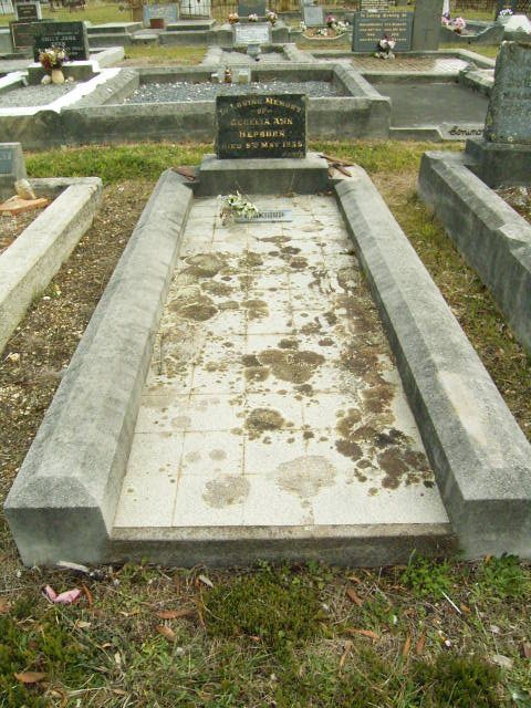 Full-size image