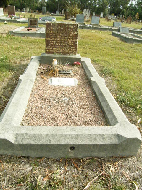 Full-size image