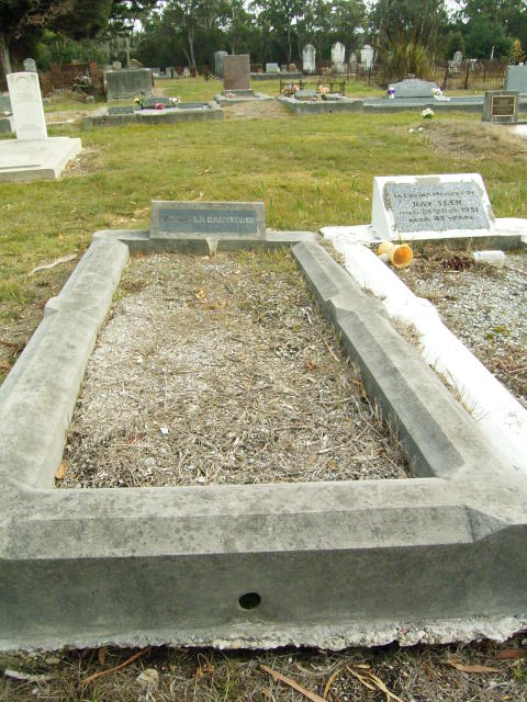 Full-size image
