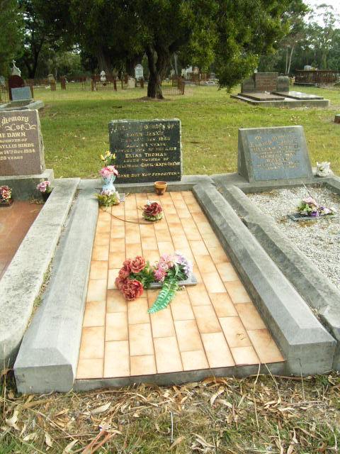 Full-size image