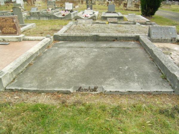 Full-size image