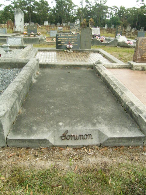 Full-size image