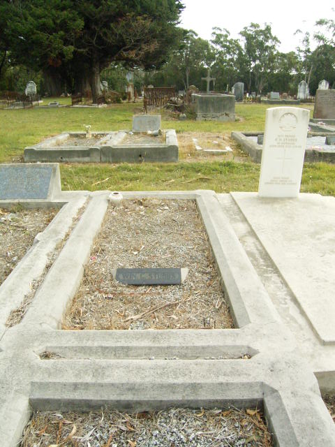 Full-size image