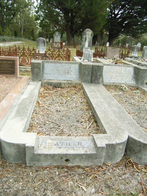 Full-size image
