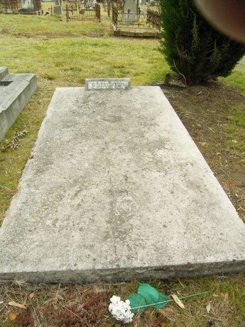 Full-size image