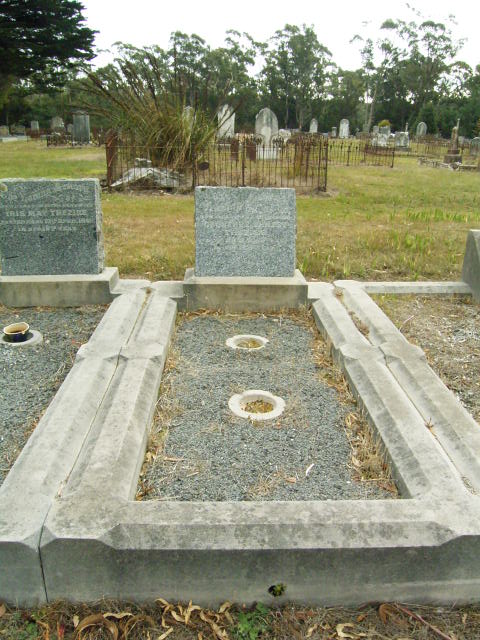 Full-size image