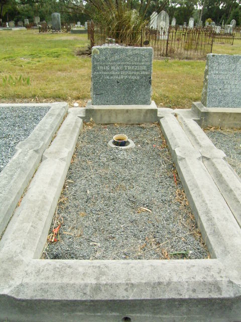 Full-size image