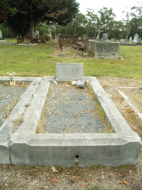 Full-size image