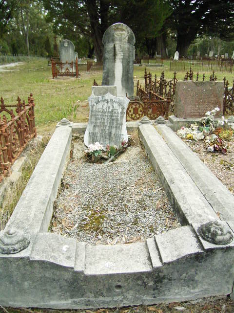 Full-size image