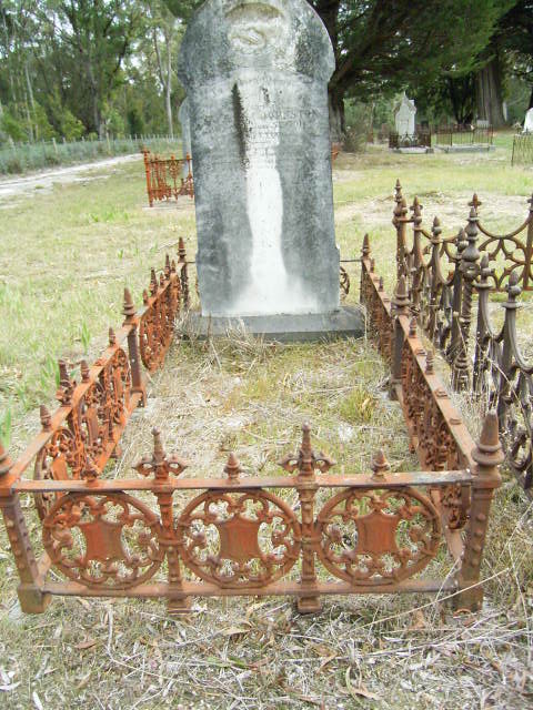 Full-size image