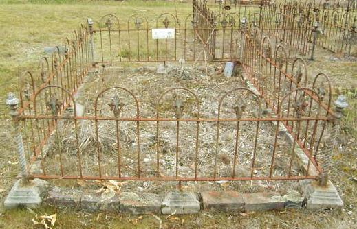 Full-size image