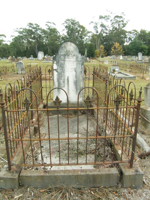 Full-size image