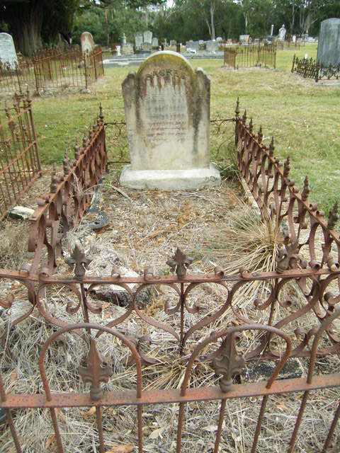 Full-size image