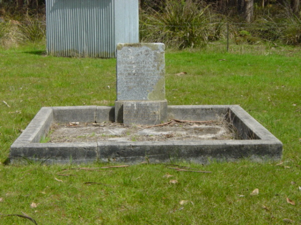 Full-size image