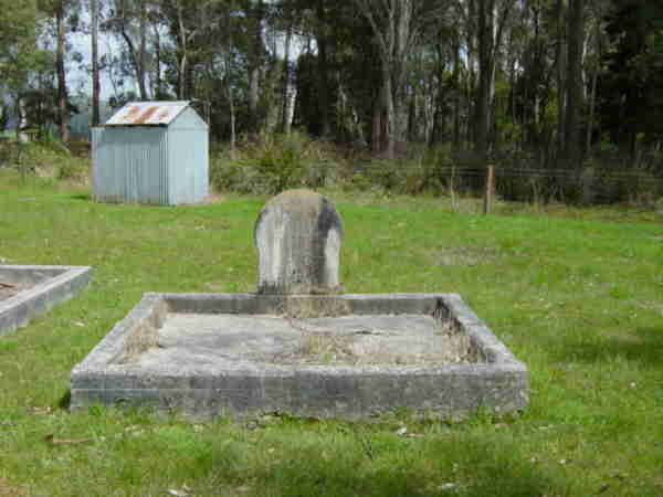 Full-size image