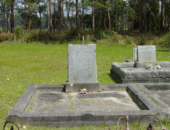 Full-size image