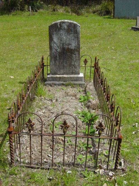 Full-size image