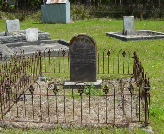 Full-size image