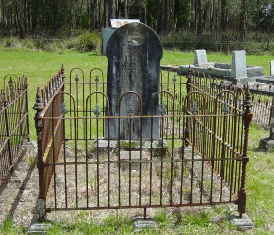 Full-size image