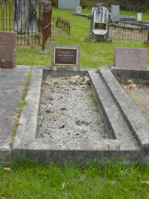 Full-size image