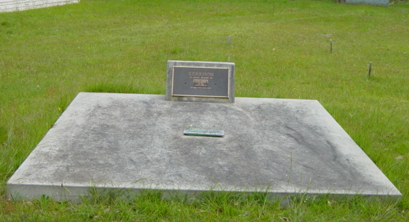 Full-size image