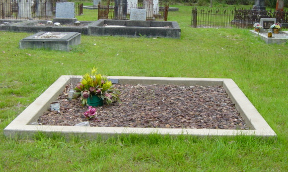Full-size image