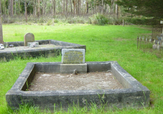 Full-size image