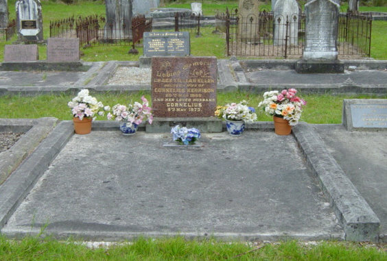 Full-size image