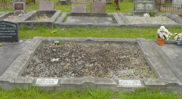 Full-size image