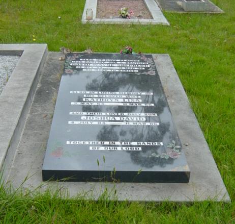 Full-size image