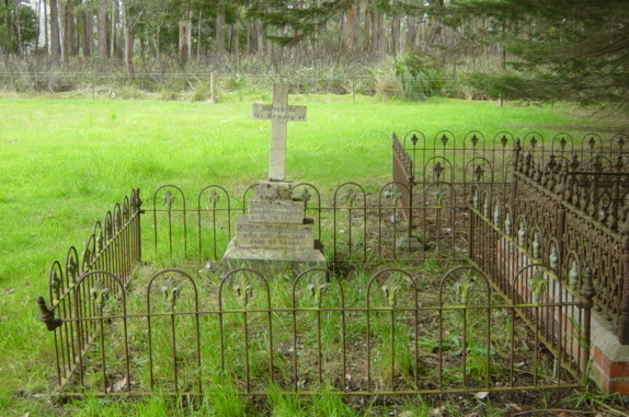 Full-size image