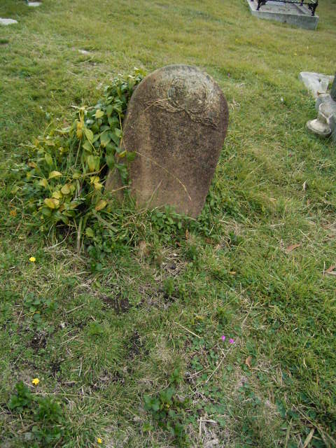 Full-size image