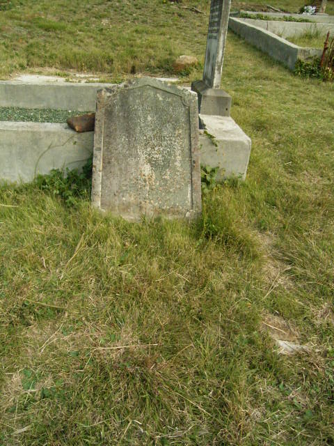 Full-size image