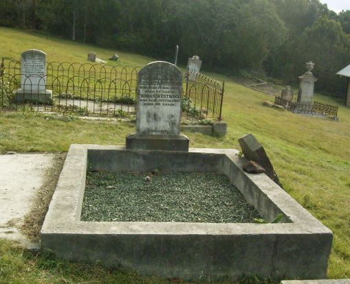 Full-size image