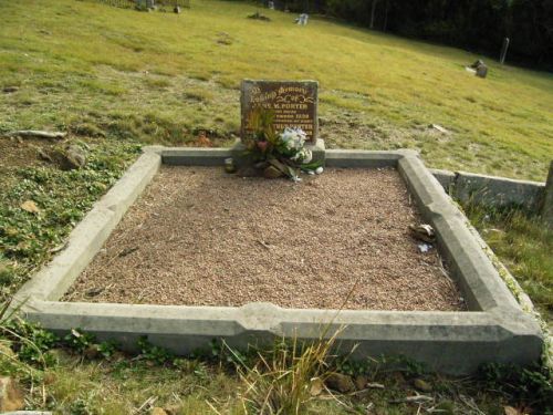 Full-size image