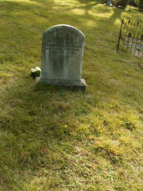 Full-size image