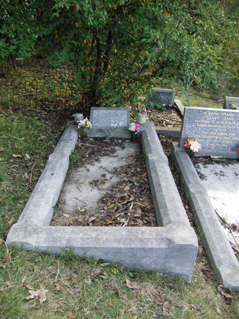 Full-size image