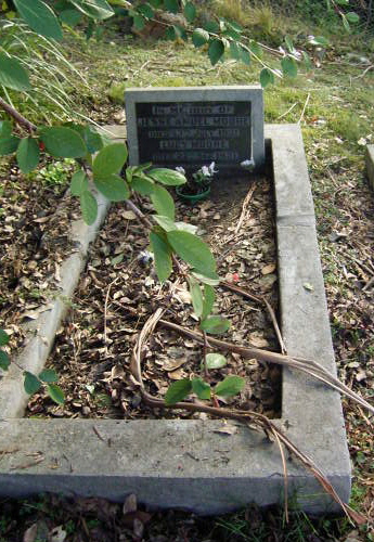 Full-size image