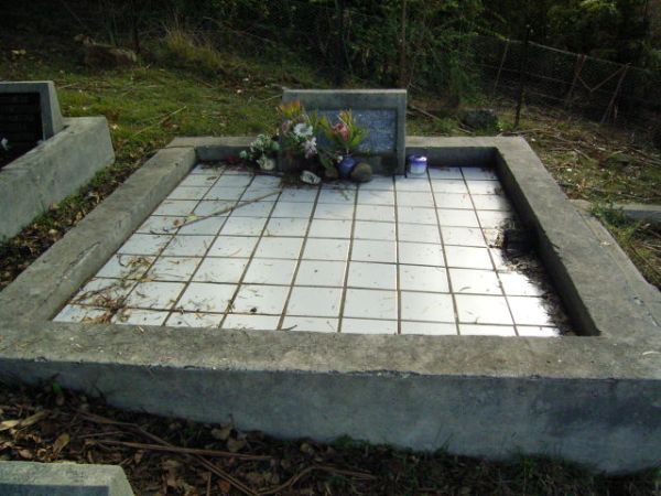 Full-size image