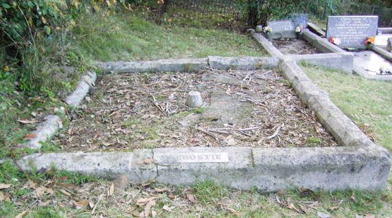 Full-size image